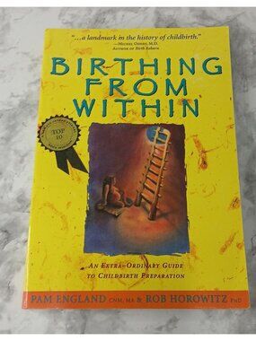 Birthing from Within: An Extra-Ordinary Guide to Childbirth Preparation